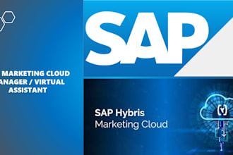 assist you with sap bydesign, and sap mm data management