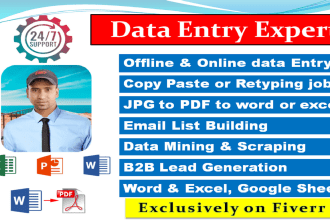 do data entry, copy paste, convert file, web research, targeted email list