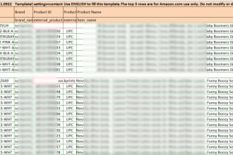 create or update amazon listings using flat file without seller centra access