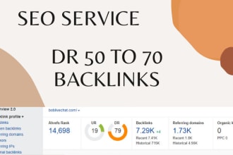 provide high DR backlinks for ranked your website