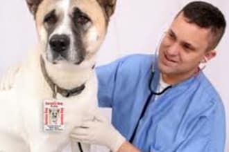 answer your veterinary questions and give you high quality advices as best as I can