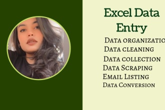 do perfect excel data entry, research, web scraping, data collection, pdfconvert