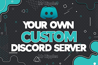 setup a professional discord server for you