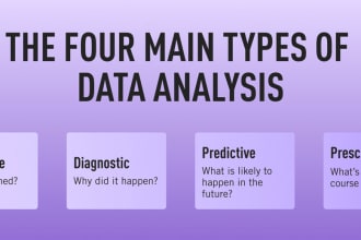 do statistical data analysis on r, spss, stata and python