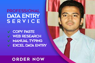 be your professional data entry operator