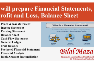 prepare financial statements, profit and loss, balance sheet