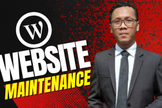 do wordpress website maintenance, fix issues, and support