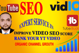 do your youtube video SEO and channel optimization expert