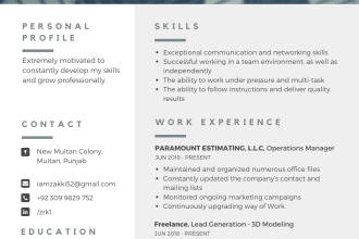 do comprehansive CV,professional resume design, CV maker