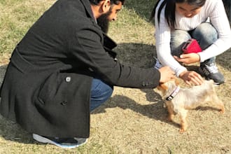 write articles for your dog and cat