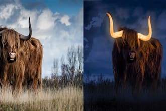 do high quality image editing or photo manipulation