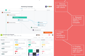 setup asana to manage your projects