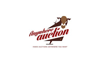 design anywhere auction logo