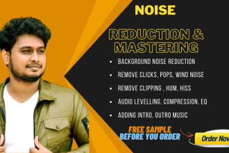 remove noise from your audio or video file