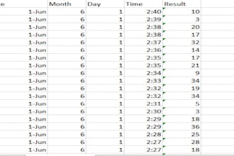 do personalized data polishing and formatting services with excel