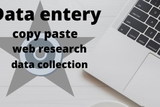 provide data entry and copy paste job