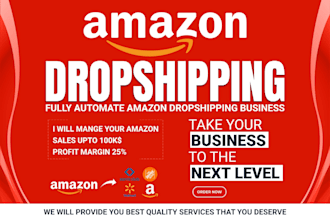 build a professional  ebay amazon drop shipping store