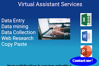 do data, data entry, web research