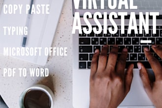 provide you microsoft office complete services