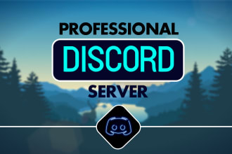 setup a professional custom discord server with in 6 hours