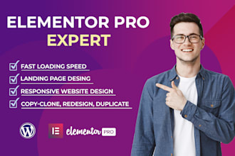 create elementor landing page, wordpress website with elementor pro