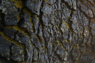 create textures and materials in substance designer