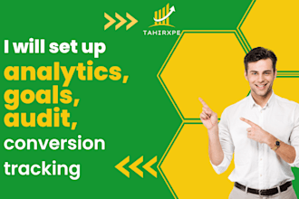 setup analytics, goals, audit, conversion tracking