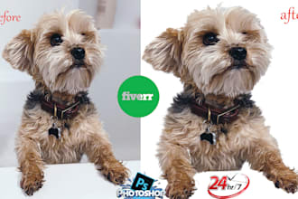 remove background 100 images with white or transparent