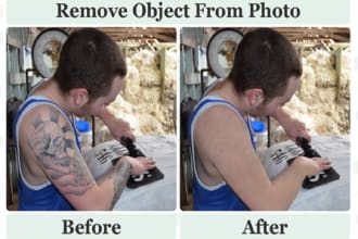 remove any object person on images files or add watermark