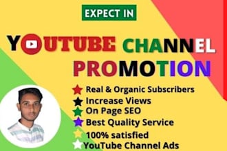 promote your organic youtube channel to subscriber and view grow