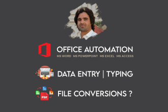 do all types of ms office work, data entry, file conversion