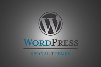 code special wordpress theme for you