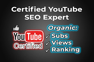 be your youtube video promotion SEO expert