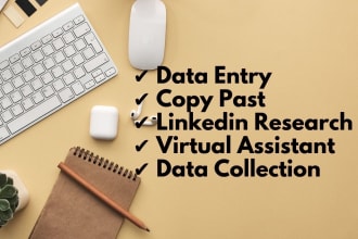 do any type of data entry,data mining,internet research and virtual assistant