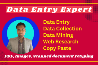 do excel data entry, convert pdf to word, data collection