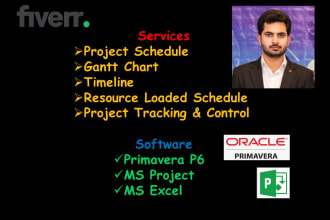 do project schedule, gantt chart on primavera p6, ms project