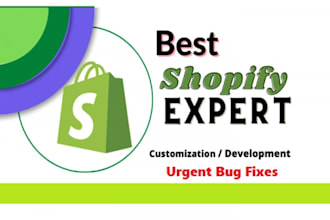 be your shopify theme expert