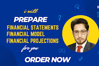 prepare financial statements, financial models, forecast for UK and USA business