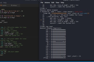 do intel x86 or x64 assembly programming
