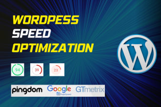 do wordpress speed optimization for google page insight