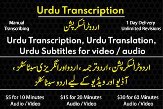 provide accurate urdu subtitles and transcription