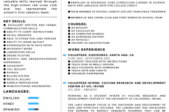 personal resume creation for student and workers ita eng