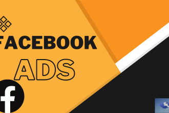 set up and manage the highly targeted facebook ads campaign