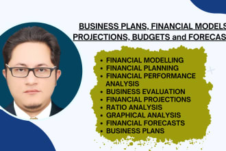 prepare financial model, forecasts, projections, budgets and business plans