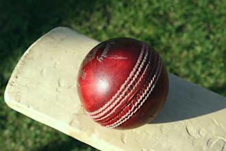 give cricket comments