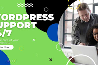 maintain wordpress website and fix bugs