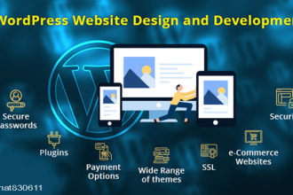 wordpress theme customizations and full functional website