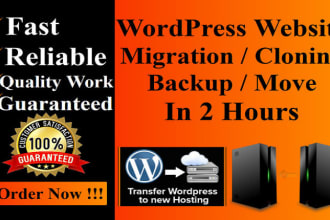 website software migration, backup and restoration services