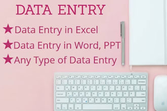 professional and reliable data entry expert