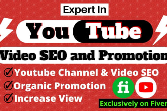 do fast organic youtube video promotion and SEO with vidiq